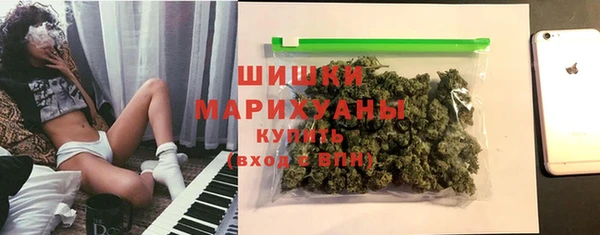 гашик Бронницы