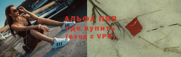 крисы Бородино
