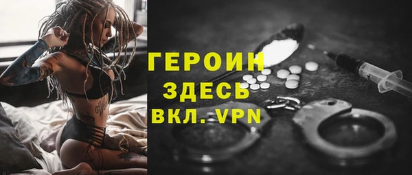 крисы Бородино