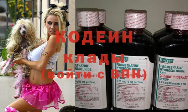 крисы Бородино
