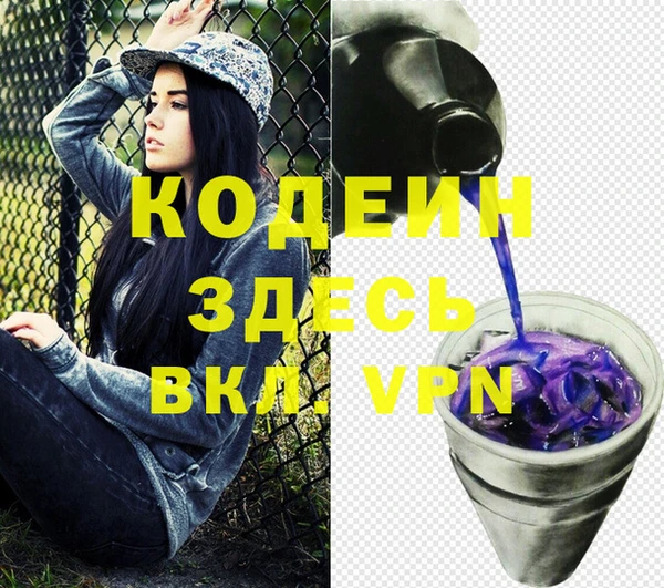 крисы Бородино