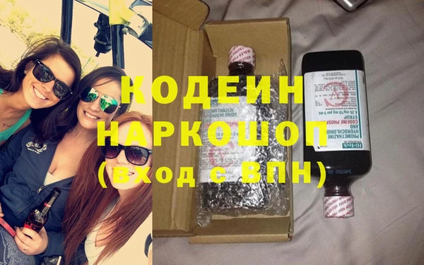 крисы Бородино