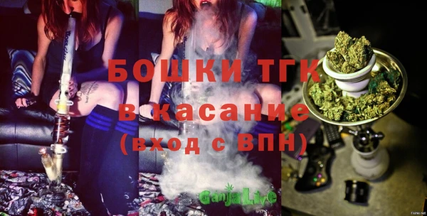 твердый Верхний Тагил