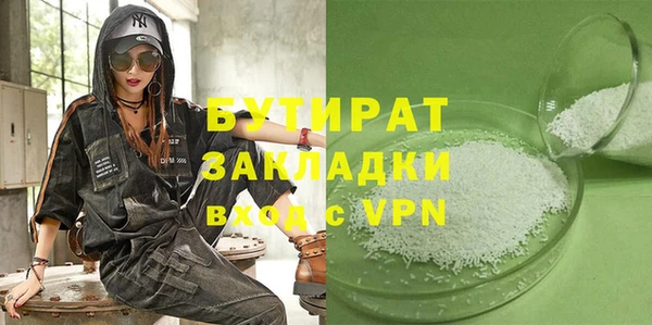 крисы Бородино