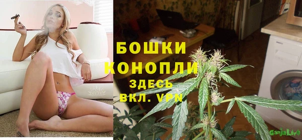 твердый Верхний Тагил