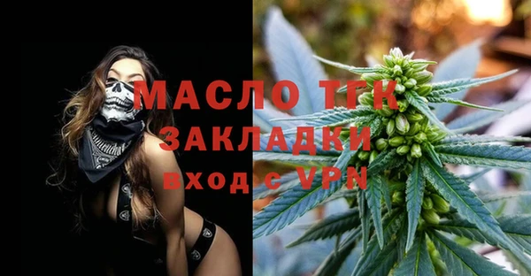 крисы Бородино