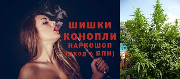 гашик Бронницы